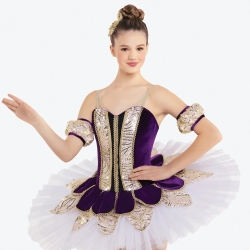 Classical Ballet Tutu